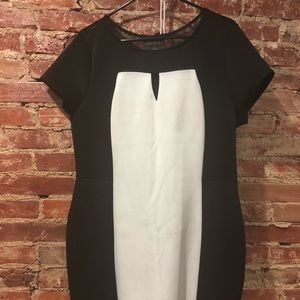 Black and White Curvy Dress w/ Mesh V-Neck.